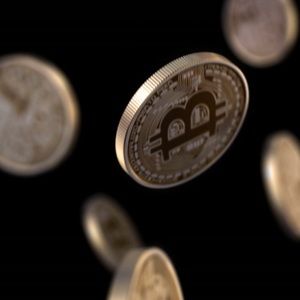 Meet your Posher, Joel